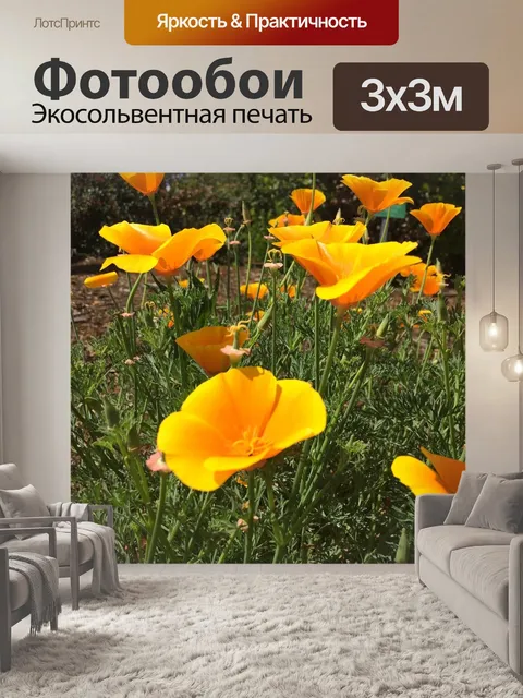 Фотообои Маки