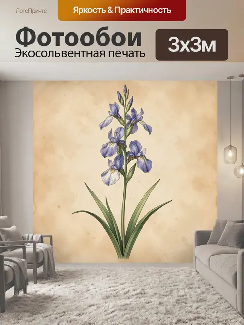 Фотообои Ботаническая иллюстрация сиреневого ириса