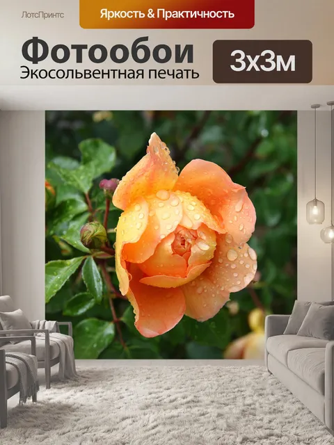 Фотообои Розы