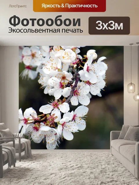 Фотообои Цветы