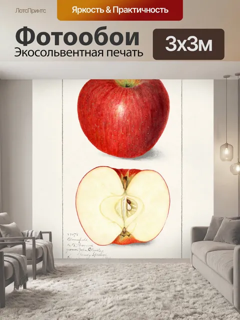 Фотообои Яблоки фрукты винтажное искусство