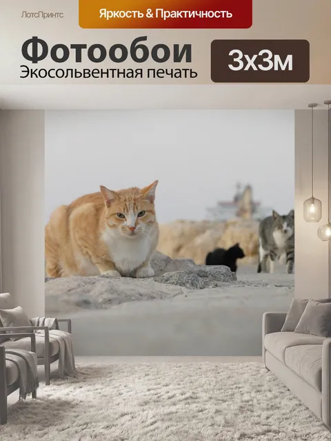 Фотообои Бродячая кошка