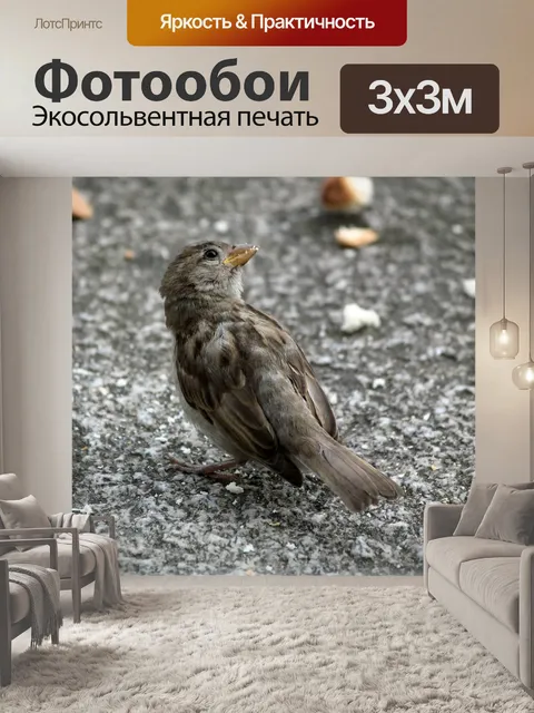 Фотообои Птица
