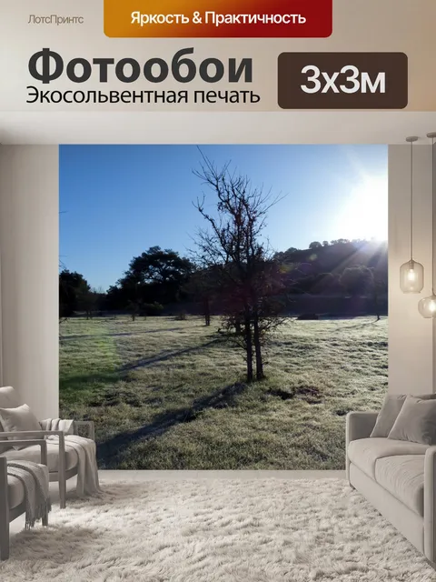 Фотообои Утренний свет