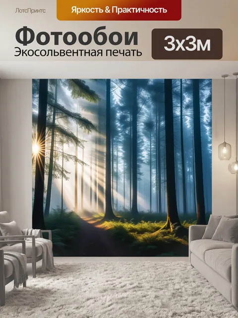 Фотообои утренний туман и солнечные лучи в лесу