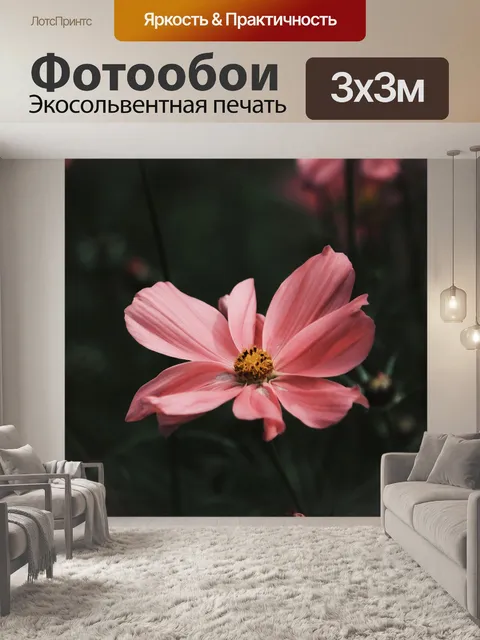 Фотообои Космос