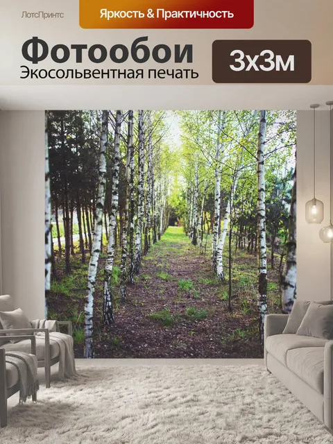 Фотообои Береза