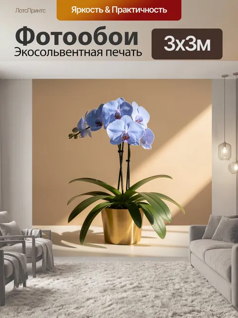 Фотообои Голубая орхидея фаленопсис в декоративном золотистом горшке