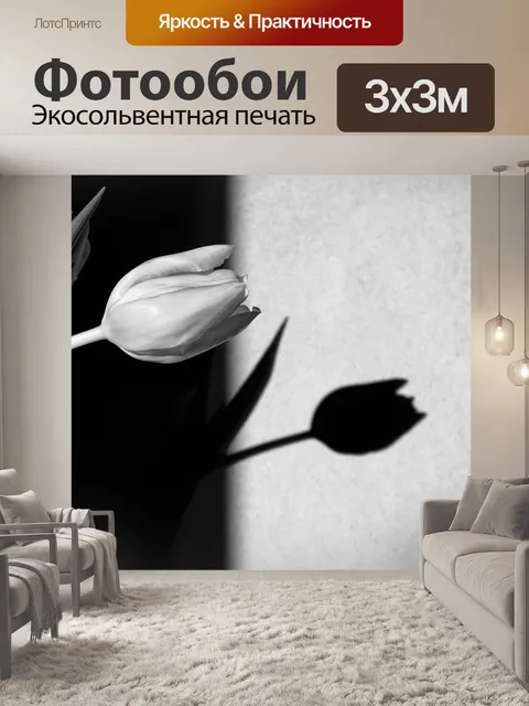 Фотообои Тюльпан