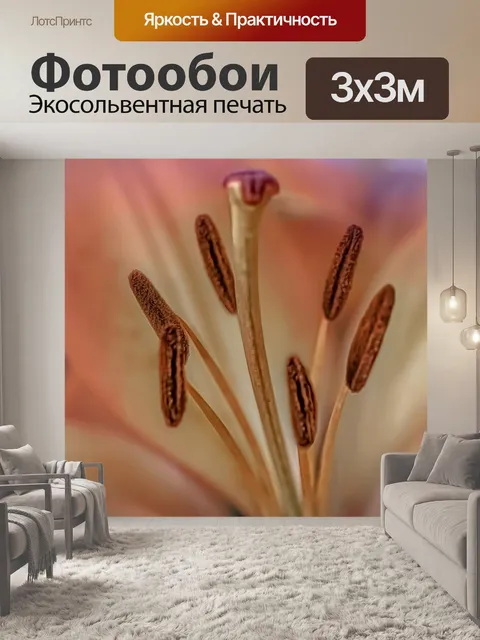 Фотообои Лили