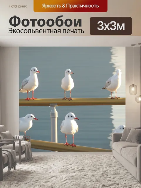 Фотообои Чайки