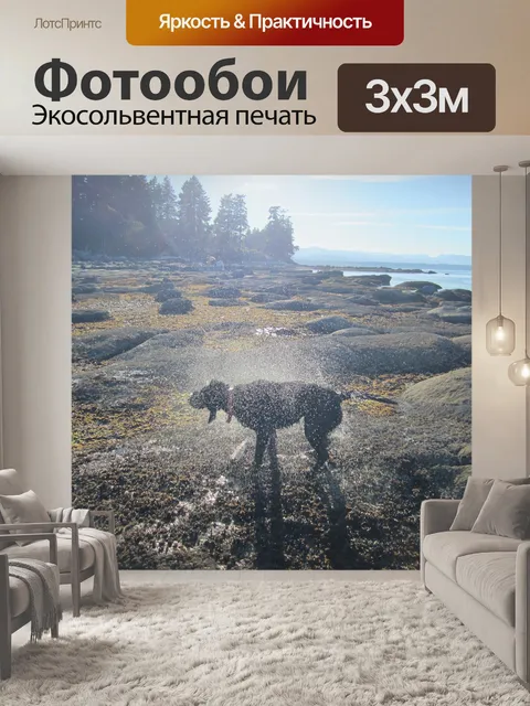 Фотообои Собака