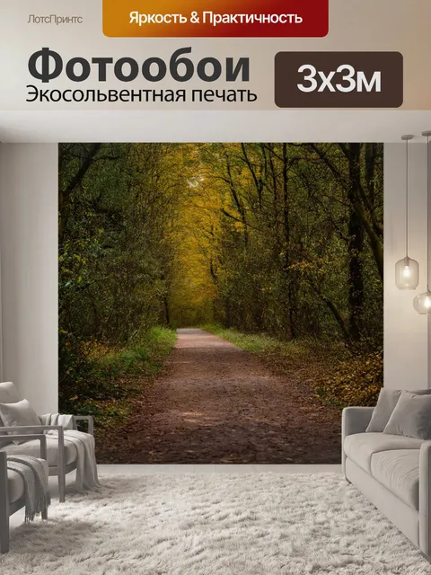 Фотообои англия, полная свирепостями и буреломами тропа, уходящая в полную древесность леса, где пустота создает…