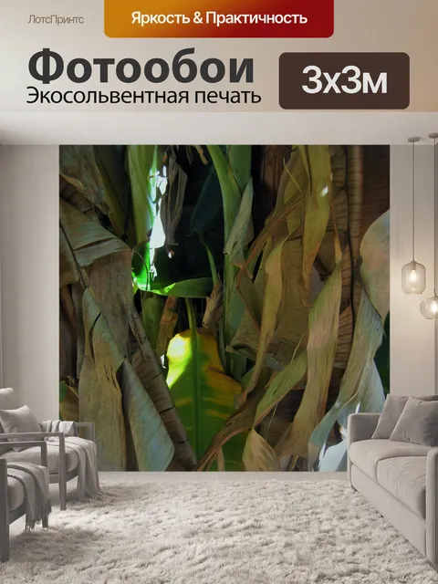 Фотообои поджаристой банановые листья