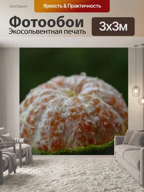 Фотообои Питание
