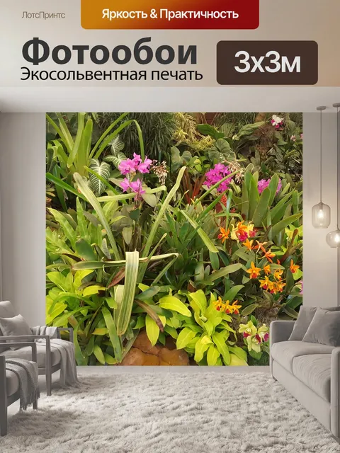 Фотообои Орхидеи