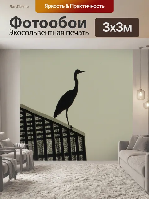 Фотообои Птица