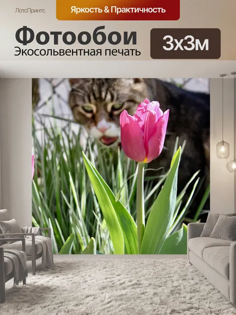 Фотообои Кошка