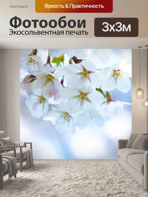 Фотообои Цветение сакуры