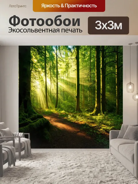 Фотообои лес с потоками света, создающими узоры на стенах леса