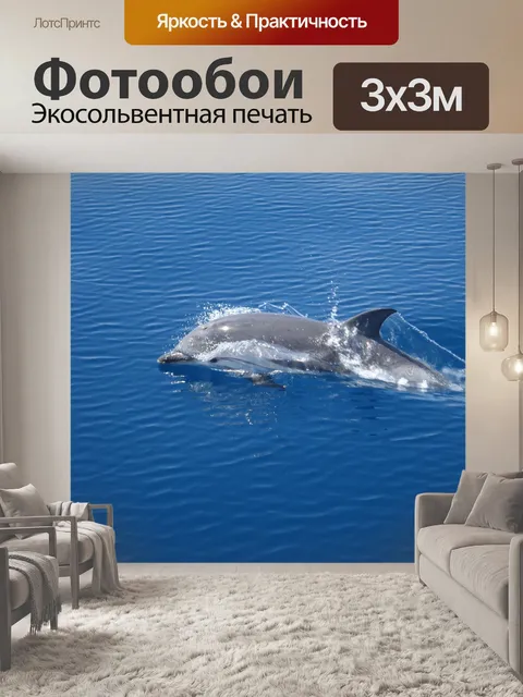 Фотообои Дельфин