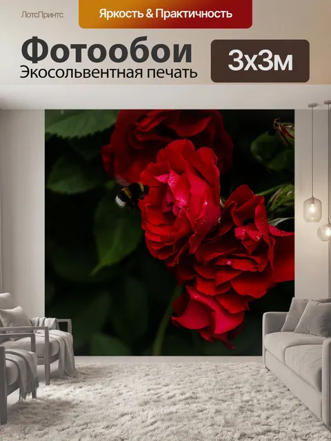 Фотообои Summer rain