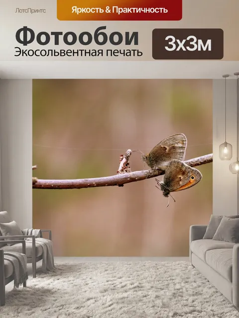 Фотообои Бабочки