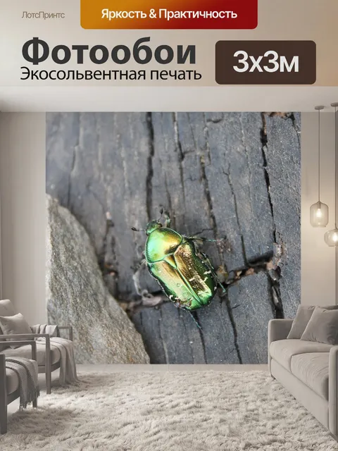 Фотообои Жук