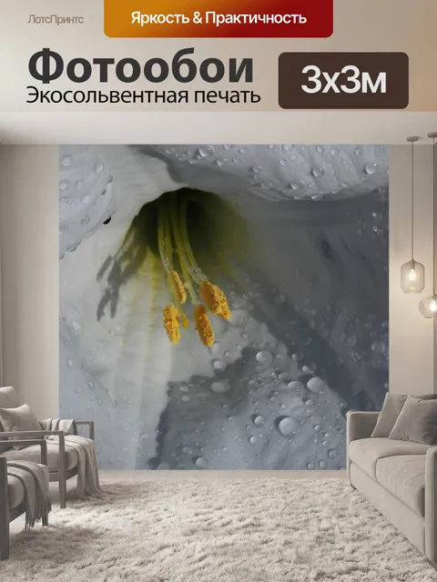 Фотообои Цветок