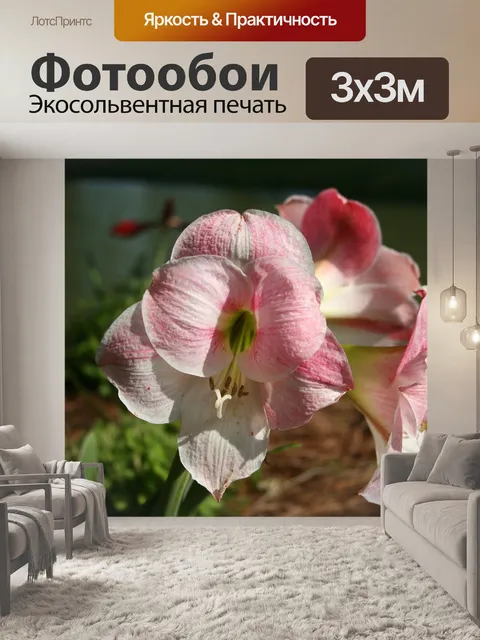 Фотообои Цветы