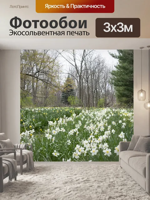 Фотообои Цветы