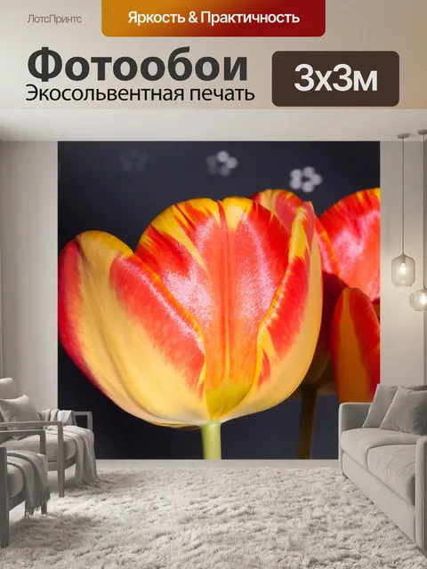 Фотообои Тюльпаны