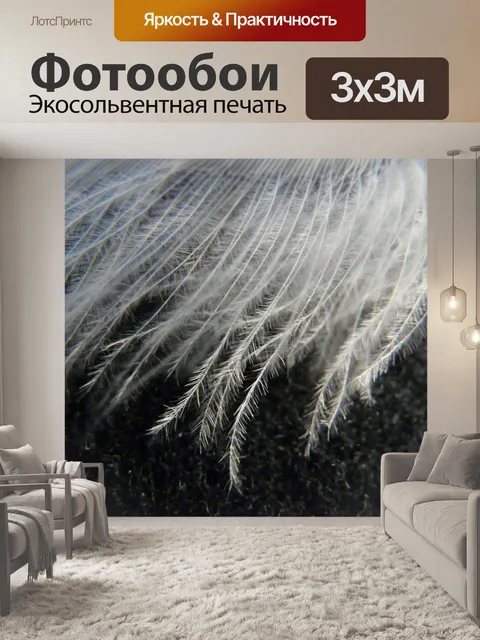 Фотообои Лебединое перо