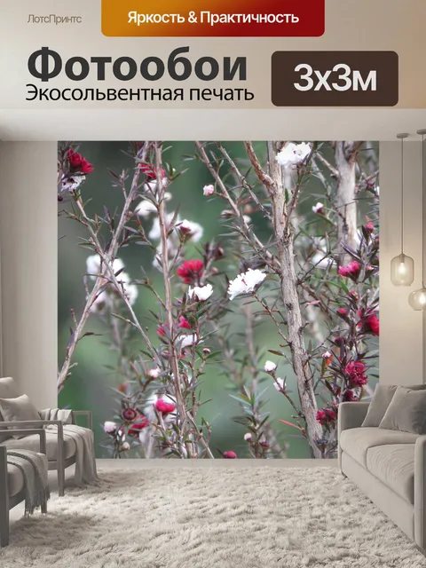 Фотообои Цветы