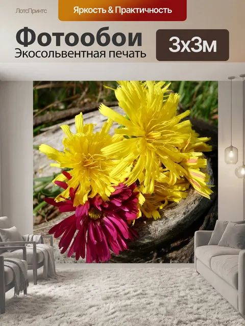 Фотообои Цветы