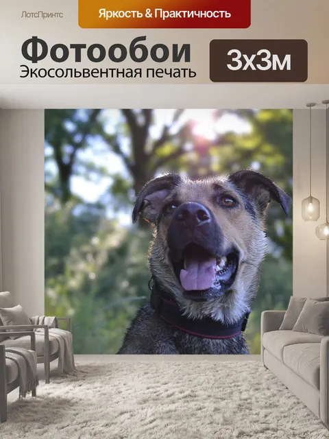 Фотообои Летом