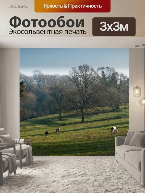 Фотообои Пейзаж
