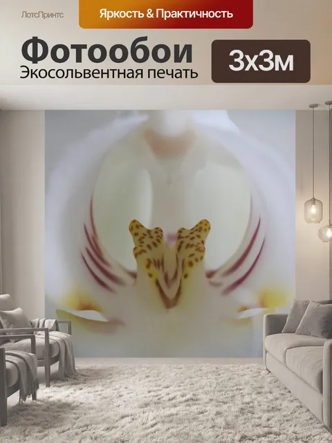 Фотообои Орхидея