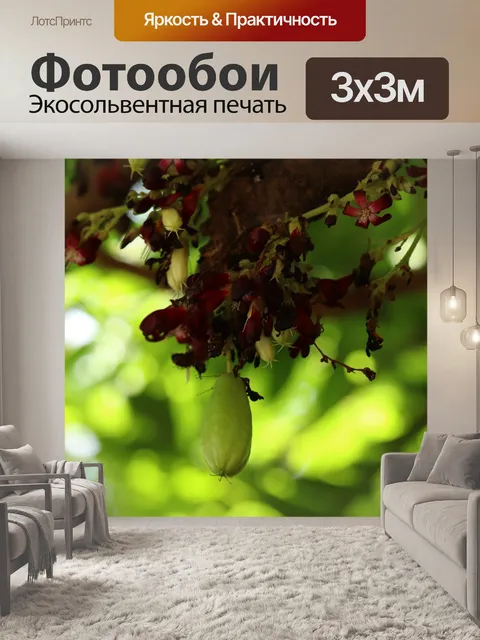 Фотообои Фрукты