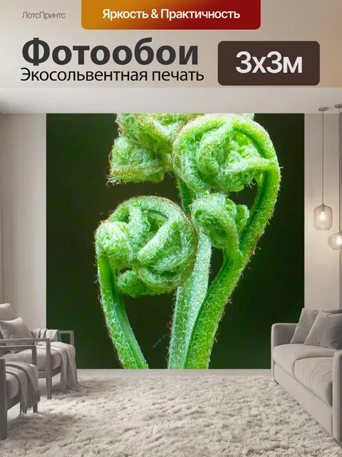 Фотообои Папоротник