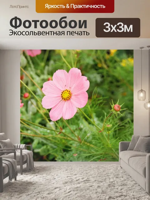 Фотообои Розовый Космос
