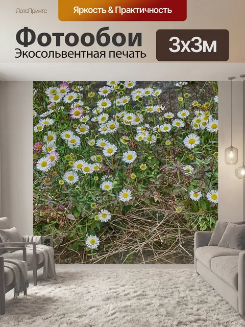 Фотообои Ромашки на лугах