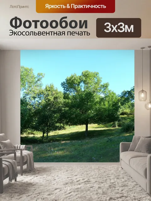 Фотообои Пейзажи