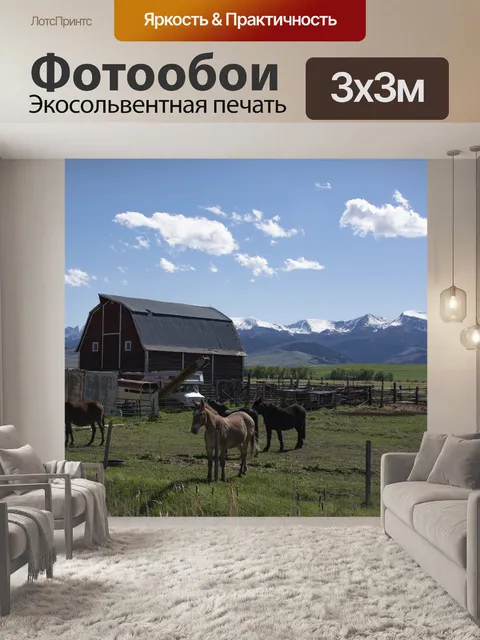 Фотообои Лошади