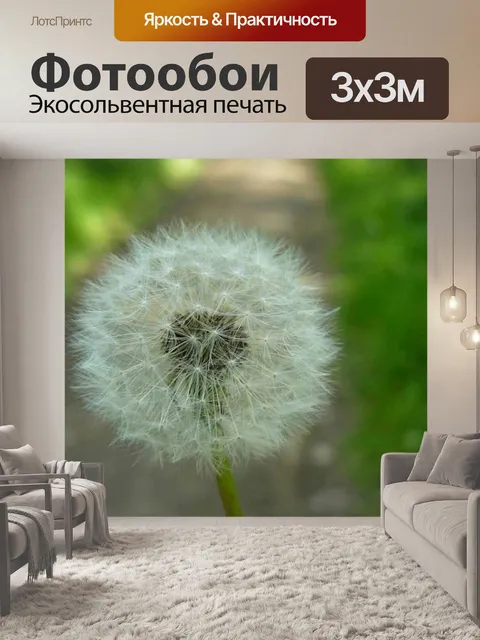 Фотообои Одуванчик