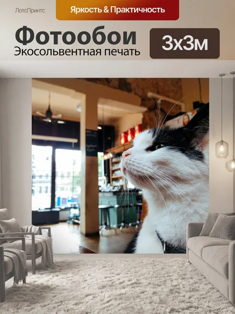 Фотообои Дом
