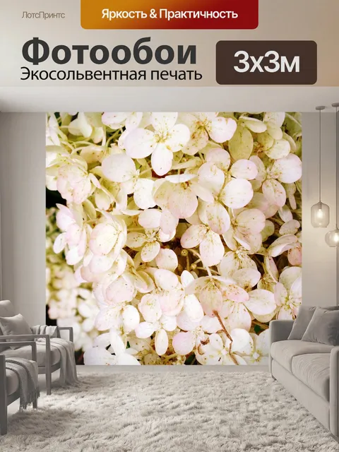 Фотообои Цветы