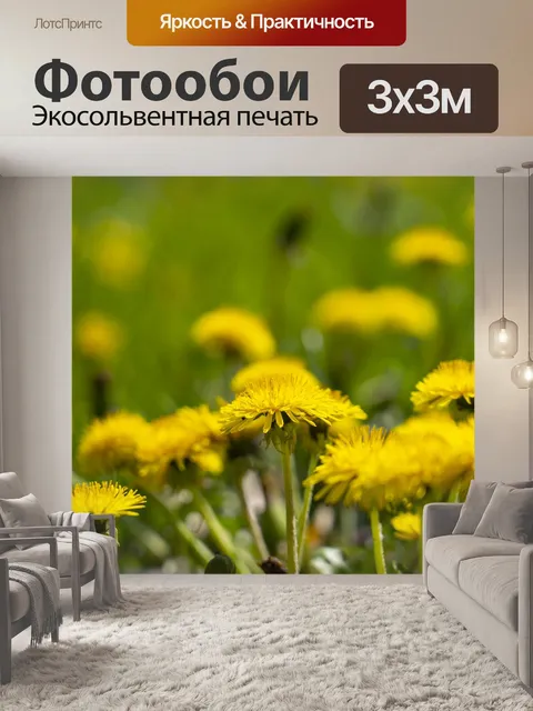 Фотообои Одуванчик