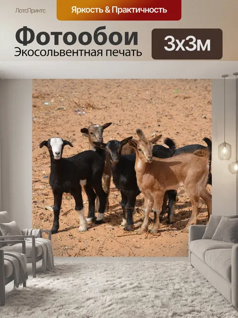 Фотообои Животные