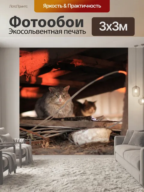 Фотообои Деревня